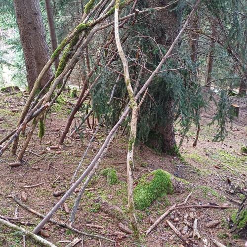 Wald1