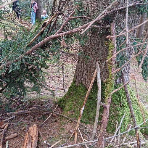Wald2